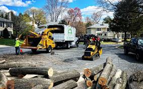 Best Tree Disease Treatment  in Hudson, PA