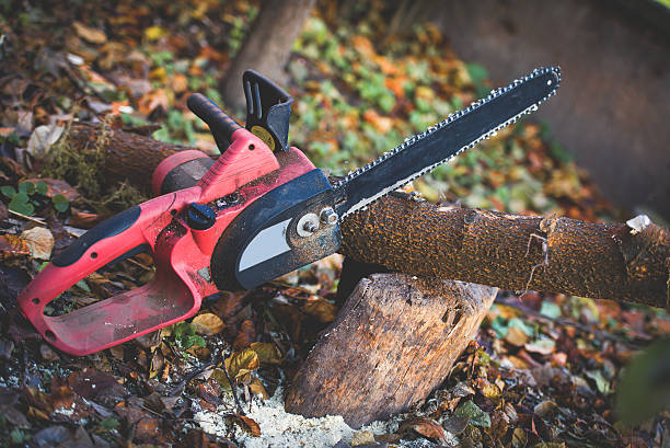 Best Pest Control for Lawns  in Hudson, PA